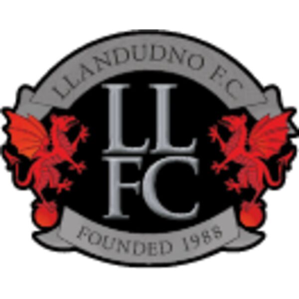 llandudno ball crest dtf Thumbnail