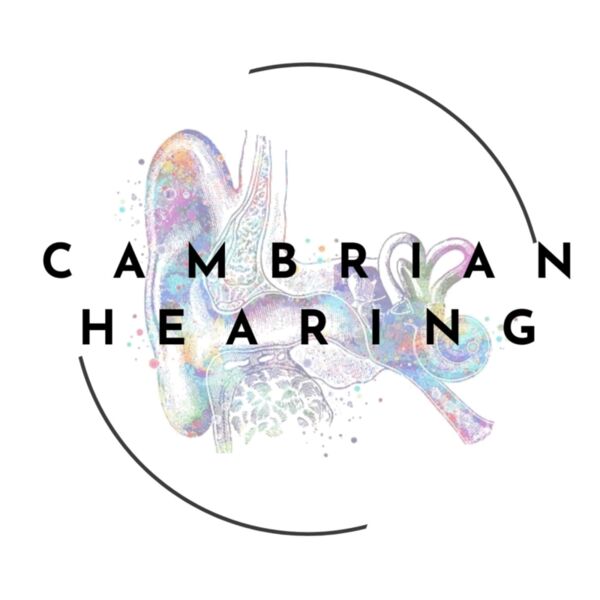 cambrian hearing dtf Thumbnail