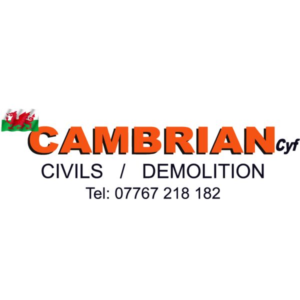 CAMBRIAN DTF Thumbnail