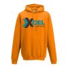 College hoodie Thumbnail