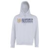 Street hoodie Thumbnail